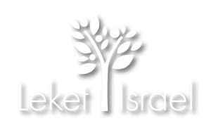 LeketWT-02